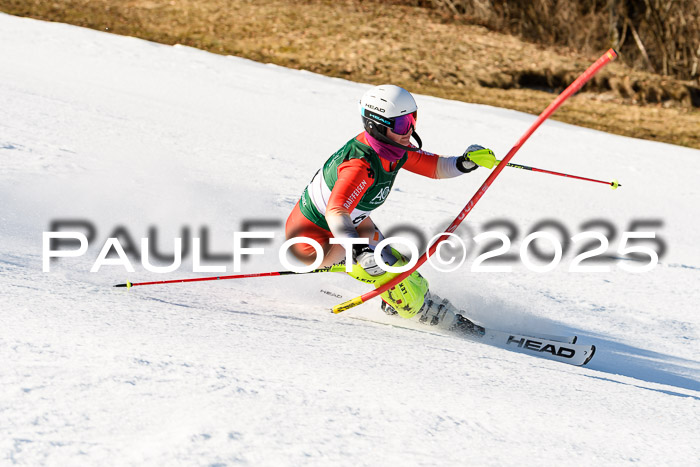 FIS Slalom Damen + Herren, 08.03.2025
