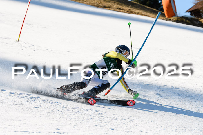 FIS Slalom Damen + Herren, 08.03.2025