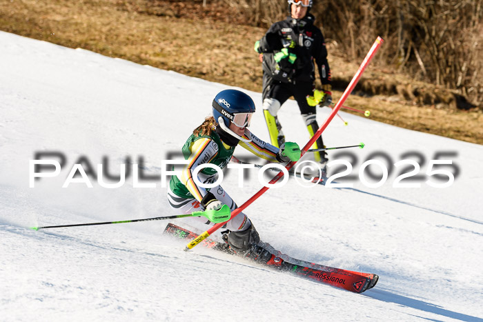 FIS Slalom Damen + Herren, 08.03.2025