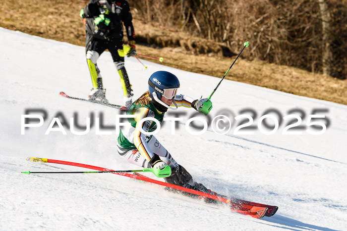 FIS Slalom Damen + Herren, 08.03.2025