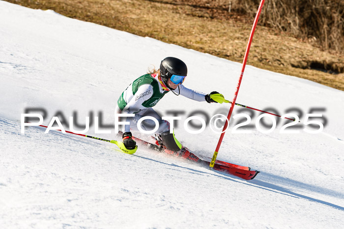FIS Slalom Damen + Herren, 08.03.2025