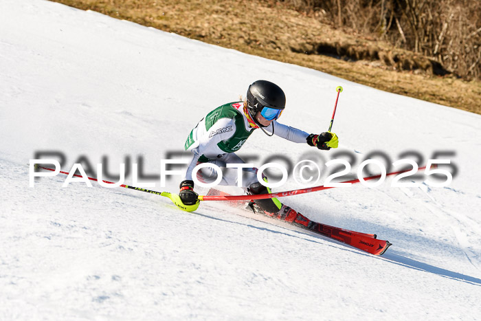 FIS Slalom Damen + Herren, 08.03.2025