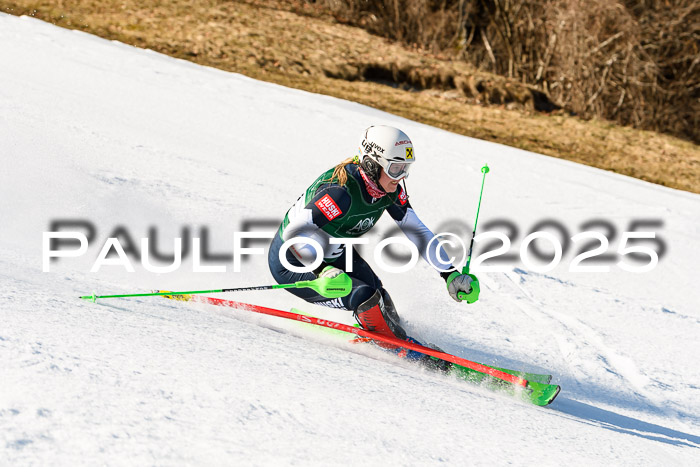 FIS Slalom Damen + Herren, 08.03.2025