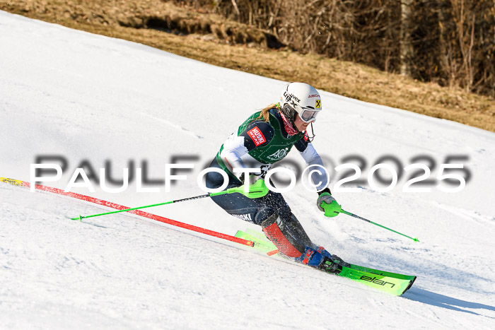 FIS Slalom Damen + Herren, 08.03.2025