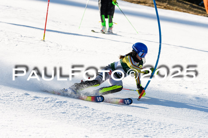 FIS Slalom Damen + Herren, 08.03.2025
