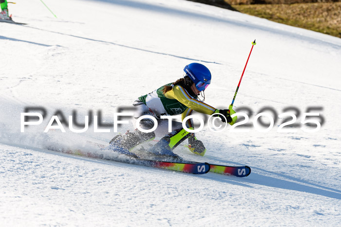 FIS Slalom Damen + Herren, 08.03.2025