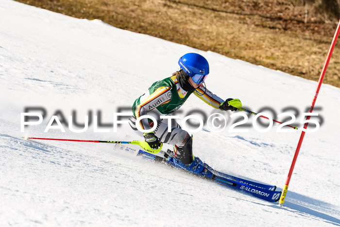 FIS Slalom Damen + Herren, 08.03.2025