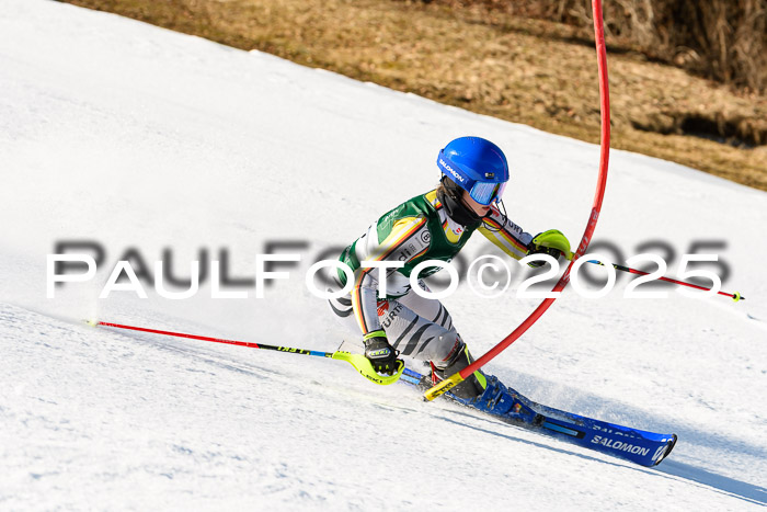 FIS Slalom Damen + Herren, 08.03.2025