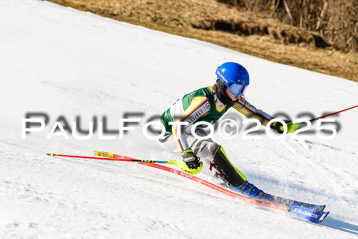 FIS Slalom Damen + Herren, 08.03.2025