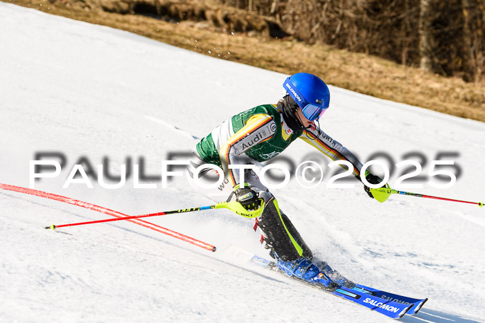 FIS Slalom Damen + Herren, 08.03.2025