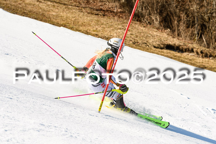 FIS Slalom Damen + Herren, 08.03.2025