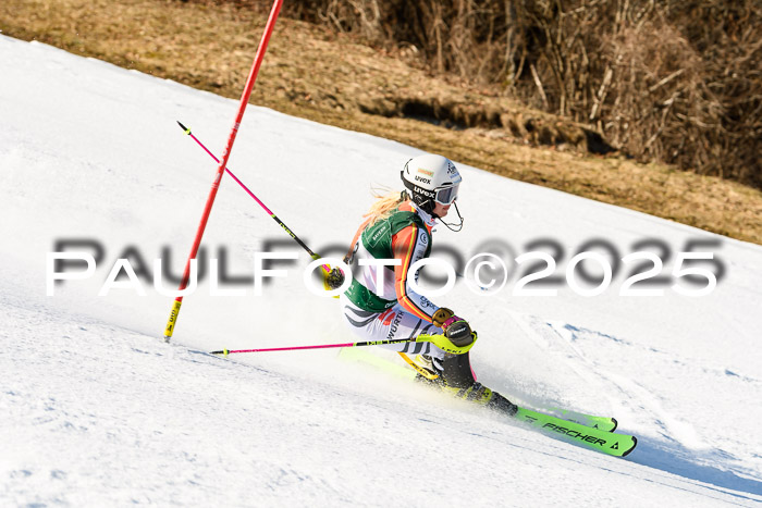 FIS Slalom Damen + Herren, 08.03.2025