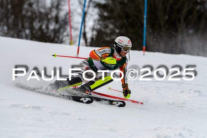 FIS Slalom Damen + Herren, 09.03.2025