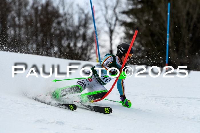 FIS Slalom Damen + Herren, 09.03.2025