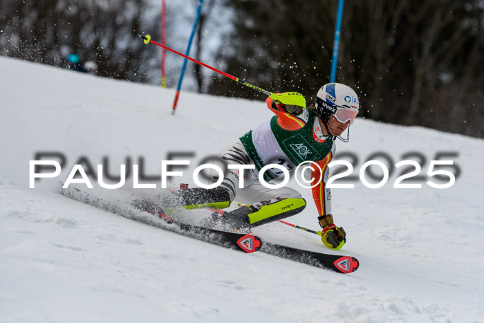 FIS Slalom Damen + Herren, 09.03.2025