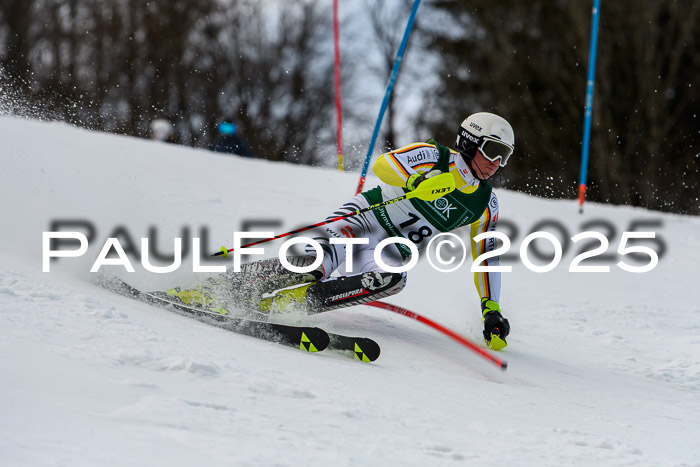 FIS Slalom Damen + Herren, 09.03.2025