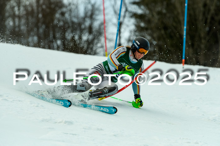 FIS Slalom Damen + Herren, 09.03.2025