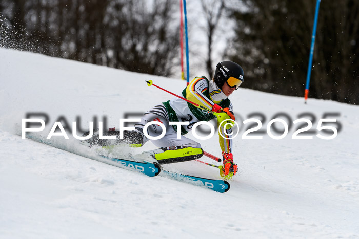 FIS Slalom Damen + Herren, 09.03.2025