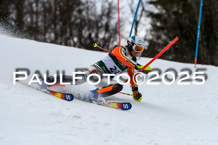 FIS Slalom Damen + Herren, 09.03.2025