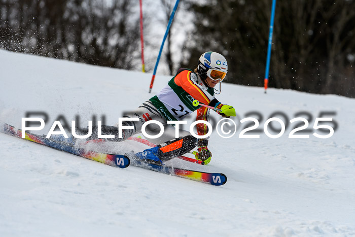 FIS Slalom Damen + Herren, 09.03.2025