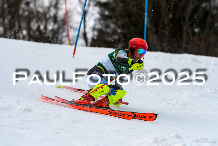 FIS Slalom Damen + Herren, 09.03.2025