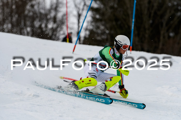FIS Slalom Damen + Herren, 09.03.2025