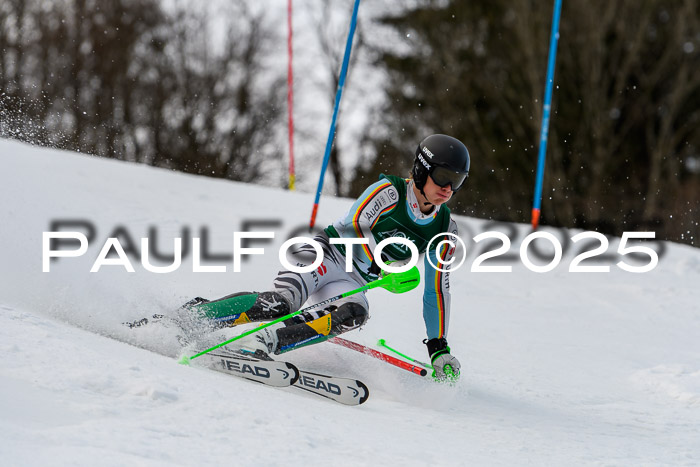 FIS Slalom Damen + Herren, 09.03.2025