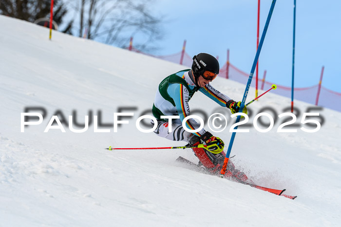 FIS Slalom Damen + Herren, 09.03.2025