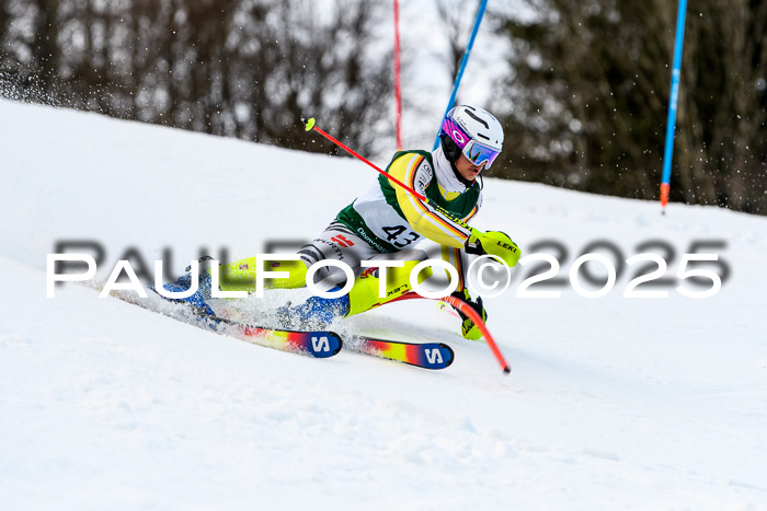 FIS Slalom Damen + Herren, 09.03.2025