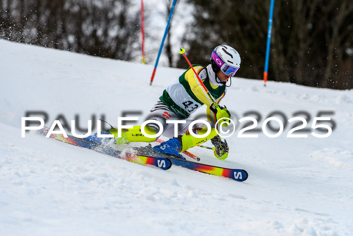 FIS Slalom Damen + Herren, 09.03.2025