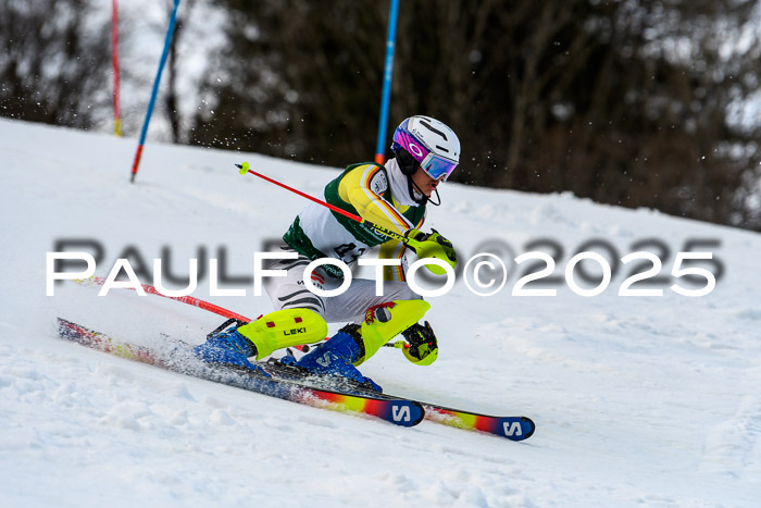 FIS Slalom Damen + Herren, 09.03.2025