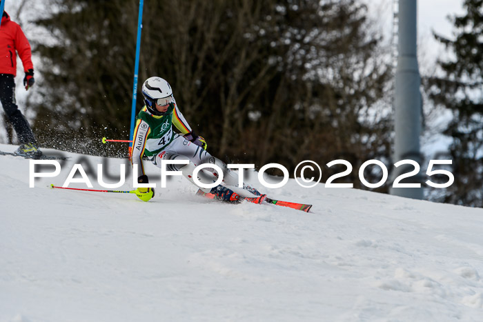FIS Slalom Damen + Herren, 09.03.2025