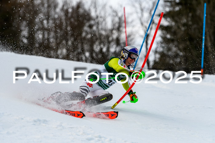 FIS Slalom Damen + Herren, 09.03.2025