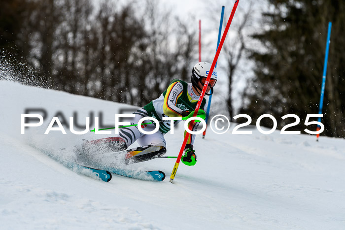 FIS Slalom Damen + Herren, 09.03.2025