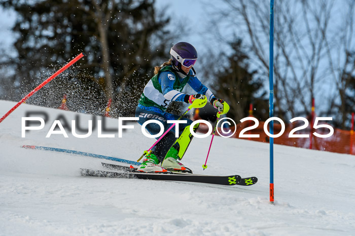 FIS Slalom Damen + Herren, 09.03.2025