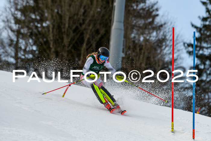 FIS Slalom Damen + Herren, 09.03.2025