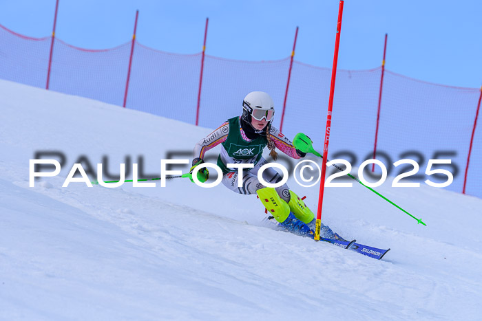FIS Slalom Damen + Herren, 09.03.2025