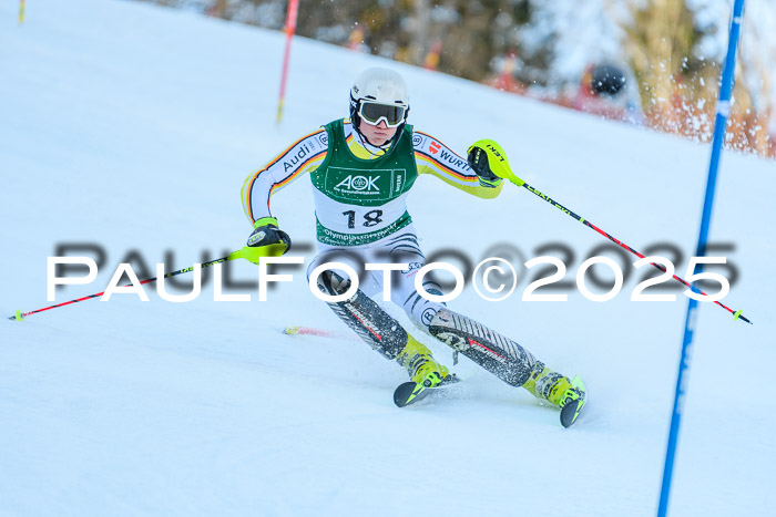 FIS Slalom Damen + Herren, 09.03.2025