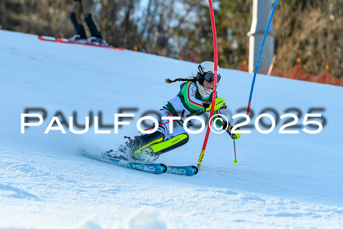 FIS Slalom Damen + Herren, 09.03.2025