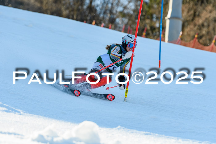 FIS Slalom Damen + Herren, 09.03.2025