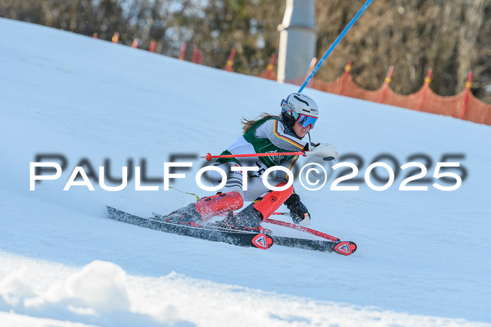 FIS Slalom Damen + Herren, 09.03.2025