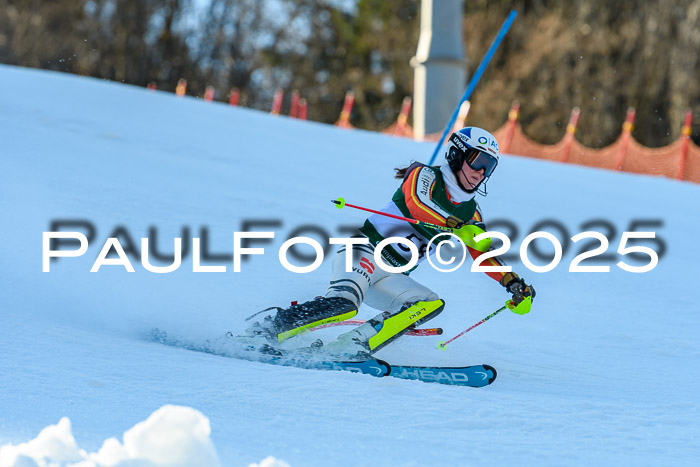 FIS Slalom Damen + Herren, 09.03.2025