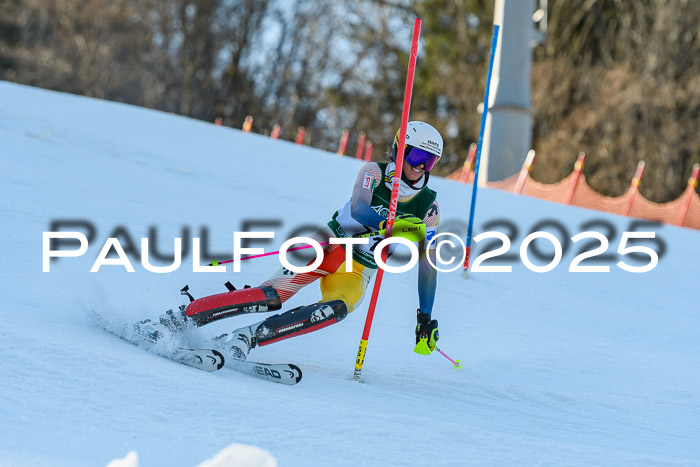 FIS Slalom Damen + Herren, 09.03.2025