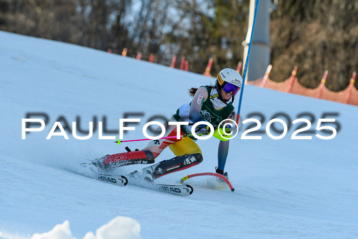 FIS Slalom Damen + Herren, 09.03.2025