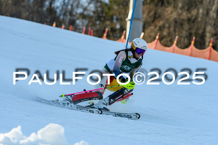 FIS Slalom Damen + Herren, 09.03.2025