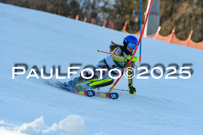 FIS Slalom Damen + Herren, 09.03.2025