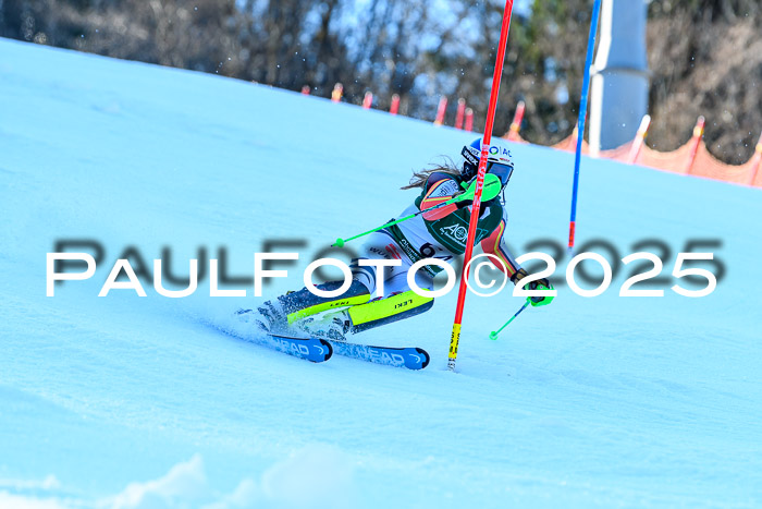 FIS Slalom Damen + Herren, 09.03.2025