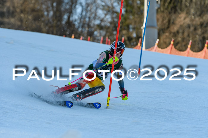 FIS Slalom Damen + Herren, 09.03.2025