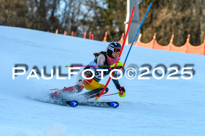 FIS Slalom Damen + Herren, 09.03.2025
