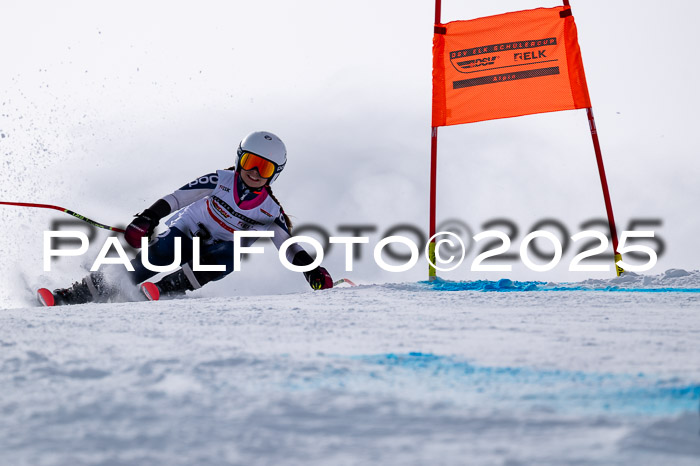 DSV - ELK Deutscher Schülercup U12 Finale RSX 2025
